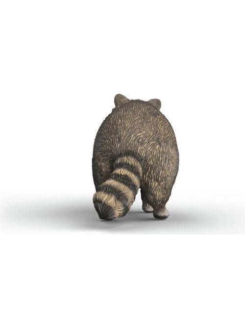 Wild Life Raton laveur - Kiabi
