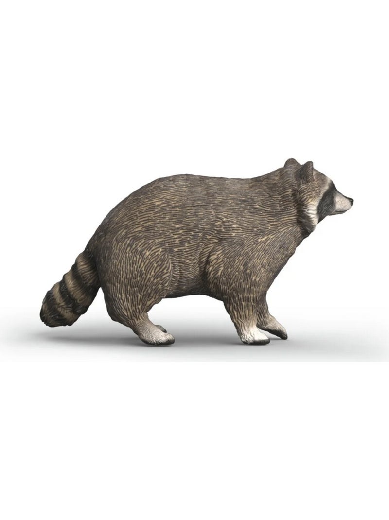 Wild Life Raton laveur Gris - Kiabi