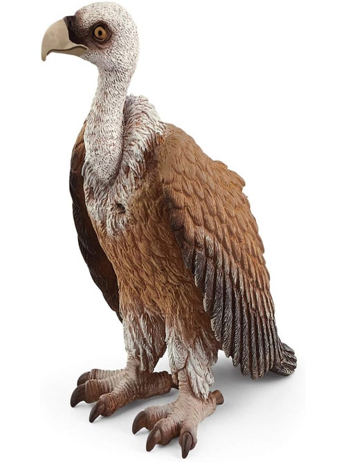 Wild Life Vautour - Kiabi