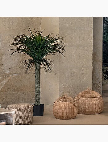 Yucca artificiel TROPIQUES