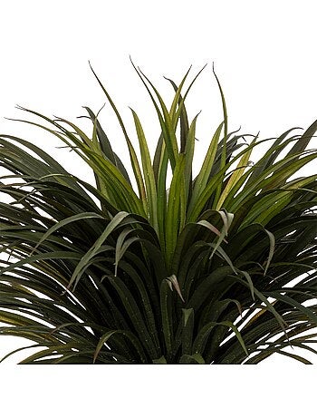 Yucca artificiel tropiques