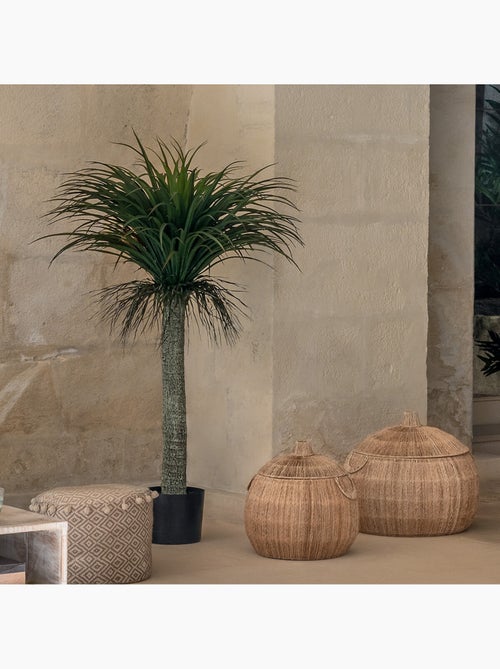 Yucca artificiel TROPIQUES - Kiabi
