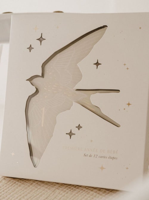 Zakuw - Cartes étapes Birds - Kiabi