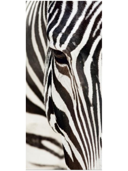 Zebra, intissé photo mural, 90 x 202 cm, 1 part - Kiabi