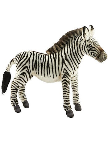 Zebre de grevy 'hansa' - 34 cm