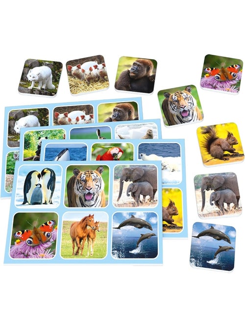 Zoo  Lotto - Kiabi